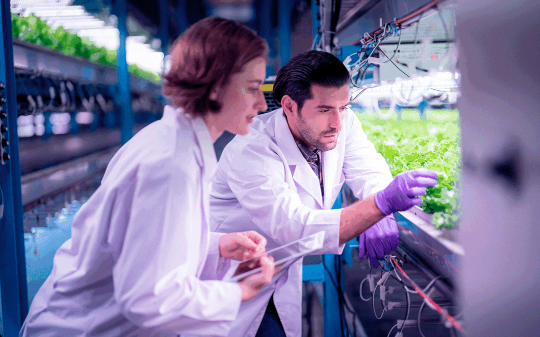 EIT Food RisingFoodStars 2026 abre candidaturas para atribuição de selo de reconhecimento a scaleups agroalimentares