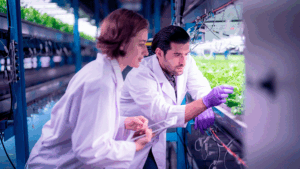 concursos_EITFood_RisingFoodStars