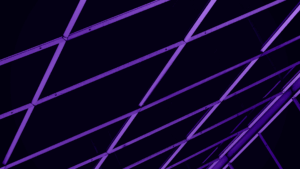 concursos_Eksim-Ventures