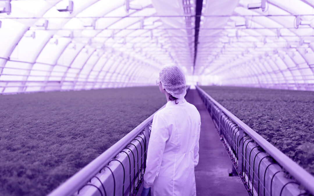 EIT Food promove candidaturas para apoiar provas de conceito no setor agroalimentar
