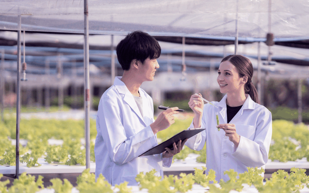 EIT Food lança covocatória Future Farm Lab para expandir plataforma digital sobre agricultura regenerativa