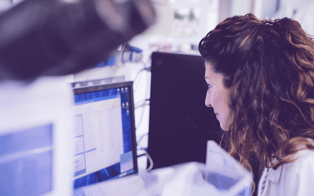 SPIN Explore promove candidaturas para programa de capacitação de investigadores