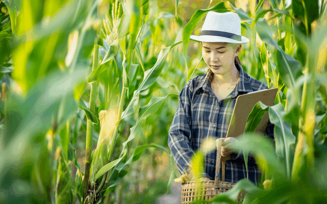Comissão Europeia lança novo grupo de investimento para impulsionar a bioeconomia sustentável