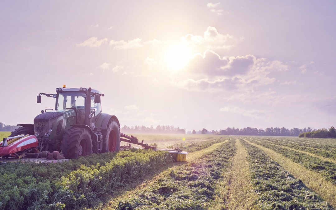 EIT Food financia startups de agri-alimentar com até 30.000 euros
