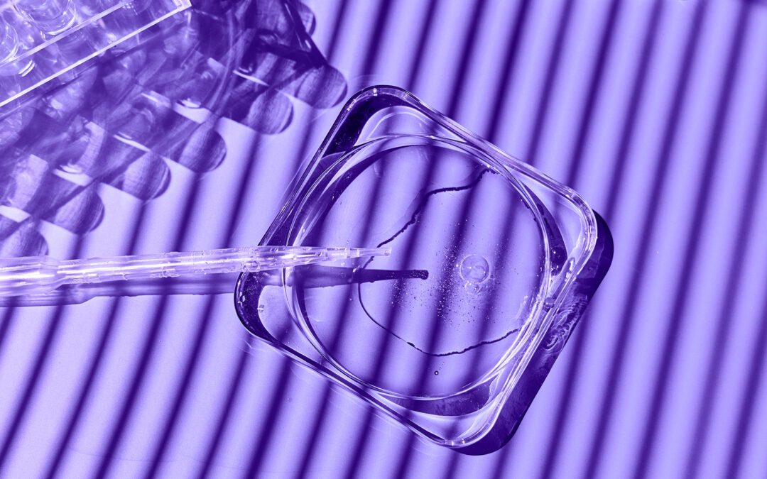 EIT Health financia percursos de formação certificada em biotecnologia com até 240 mil euros