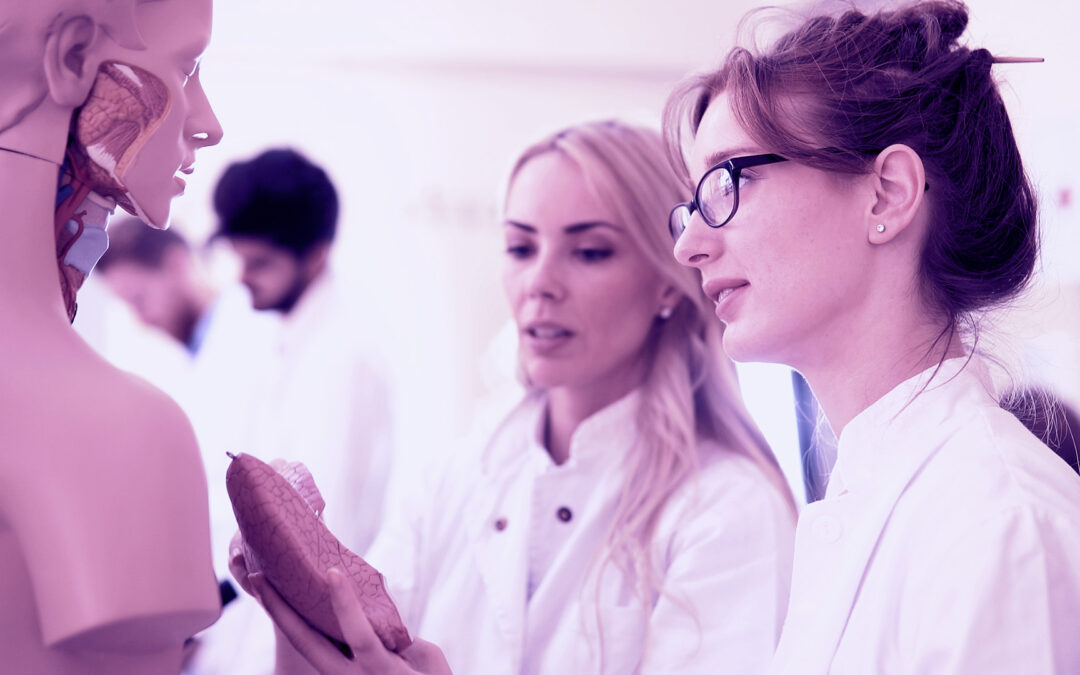 EIT Health apoia programas de formação em inovação e empreendedorismo na saúde com financiamento até 210 mil euros