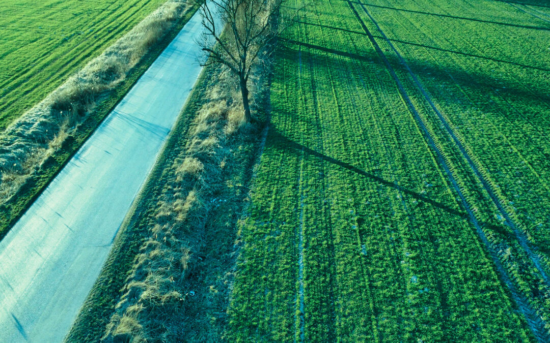 Feira AU-UE-Med de Inovação 2026 promove soluções para a segurança alimentar e agricultura sustentável